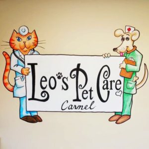 A cat dressed up like a doctor and a dog dressed up like a nurse, holding a white banner that reads 'Leo's Pet Care' in curly letters, and underneath that 'Carmel'